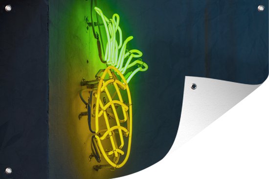 Foto: Tuinposters buiten ananas neon lamp 90x60 cm tuindoek buitenposter