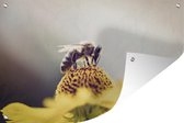Posters de jardin extérieur Abeille sur une fleur jaune - 90x60 cm - Toile de jardin - Affiche d'extérieur