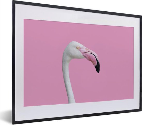 bod Typisch agenda portet witte flamingo | bol.com