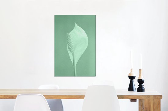 Toile végétale d'Eucalyptus vert menthe 2cm