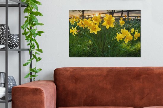 Coucher de soleil derrière les jonquilles dans le champ 90x60 cm - Tirage photo sur toile (Décoration murale salon / chambre) / Peintures Fleurs sur toile