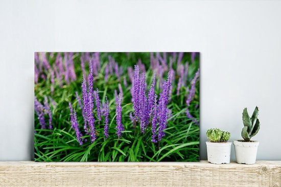Gros plan herbe ornementale violette 30x20 cm - petit - Tirage photo sur toile (Décoration murale salon / chambre) / Peintures sur toile Fleurs