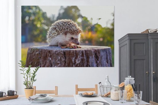 Tableau sur toile Manger un hérisson - 150x100 cm - Décoration murale