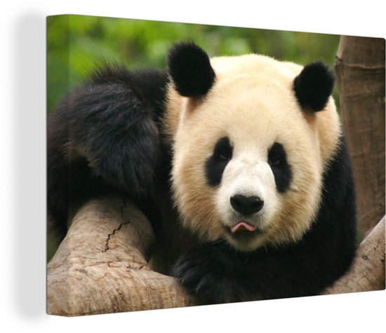 Canvas schilderij 30x20 cm - Wanddecoratie Dieren - Panda - Bomen - Muurdecoratie woonkamer - Slaapkamer decoratie - Kamer accessoires - Schilderijen op canvas