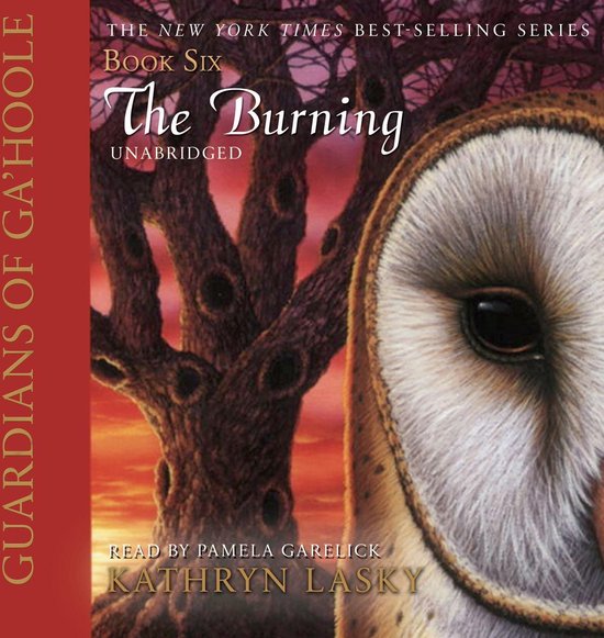 The Burning - cover