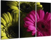 GroepArt - Schilderij -  Bloem - Roze, Groen, Wit - 120x80cm 3Luik - 6000+ Schilderijen 0p Canvas Art Collectie