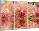 GroepArt - Schilderij -  Orchidee - Geel, Rood, Wit - 120x80cm 3Luik - 6000+ Schilderijen 0p Canvas Art Collectie