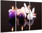 GroepArt - Schilderij -  Spa - Paars, Wit, Zwart - 120x80cm 3Luik - 6000+ Schilderijen 0p Canvas Art Collectie