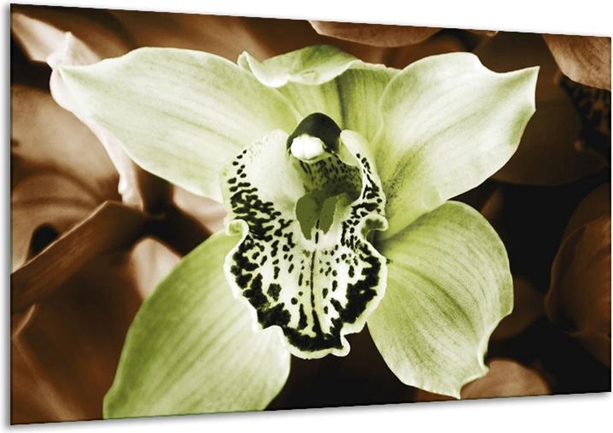 Glasschilderij Iris - Groen, Bruin, Wit - 120x70cm 1Luik - Foto Op Glas - Geen Acrylglas S