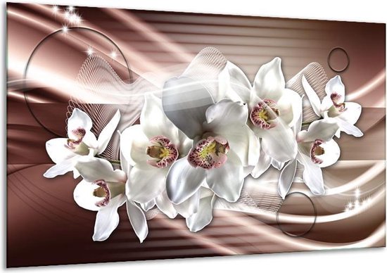 Glasschilderij Orchidee, Bloemen - Grijs, Bruin - 120x70cm 1Luik - Foto Op Glas - Geen Acrylglas Schilderij - GroepArt 6000+ Glasschilderijen Art Collectie - Wanddecoratie - Woonkamer - Slaapkamer