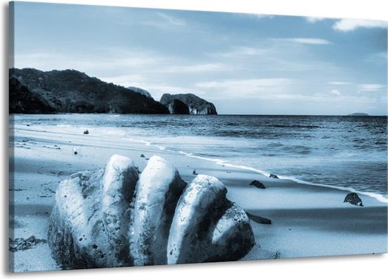 Canvas Schilderij Schelp, Strand | Blauw | | F006521