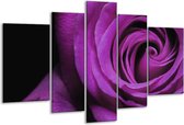 Peinture sur verre rose | Violet, noir | 170x100cm 5 Liège | Tirage photo sur verre |  F000391