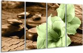 Peinture sur verre d'orchidée | Vert, marron | 160x80cm 4 Liège | Tirage photo sur verre |  F004575