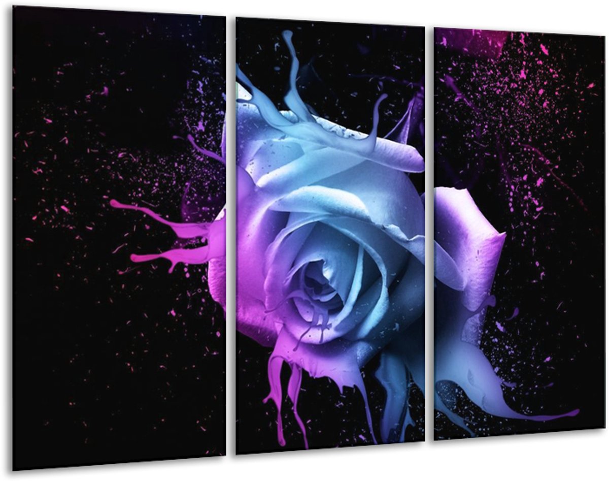 Glasschilderij Roos - Paars, Blauw, Zwart - 120x80cm 3Luik - Foto Op Glas - Geen Acrylglas