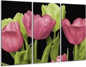 Glasschilderij Tulpen - Roze, Groen, Zwart - 120x80cm 3Luik - Foto Op Glas - Geen Acrylglas Schilderij - GroepArt 6000+ Glas Art Collectie - Maatwerk Mogelijk