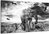 Peinture sur verre d'éléphant | Gris, noir, blanc | 120x70cm 1Hatch | Tirage photo sur verre |  F003925