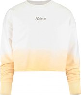 Raizzed Meisjes sweaters Raizzed sweater neon peach 140
