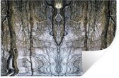 Sticker Muursticker Art psychédélique - Art psychédélique des arbres - 90x60 cm - film adhésif autocollant - sticker mural repositionnable