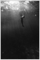 JUNIQE - Poster met kunststof lijst Swim Away -30x45 /Grijs & Zwart