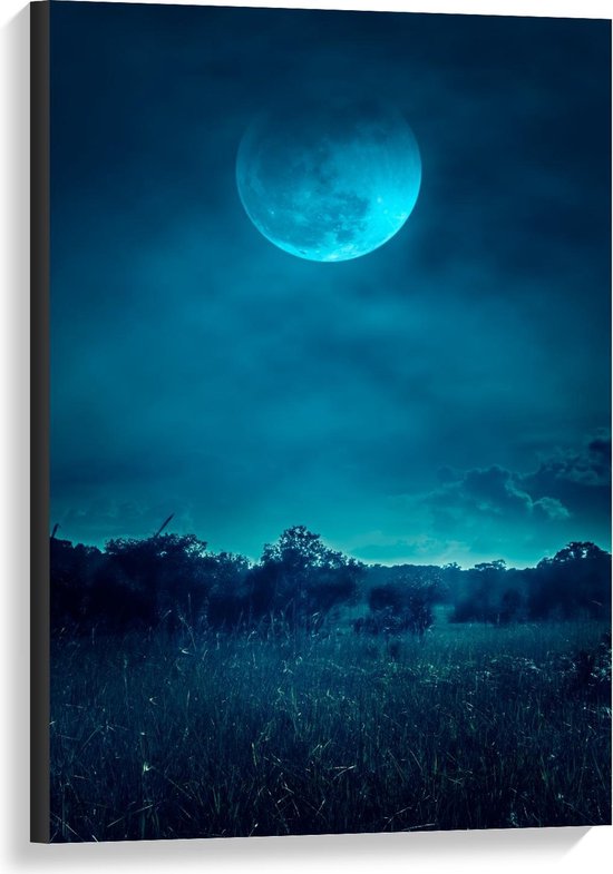 Canvas  - Maan in Blauwe Nachtlucht  - 60x90cm Foto op Canvas Schilderij (Wanddecoratie op Canvas)