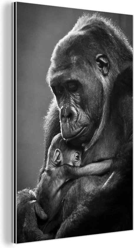 Wanddecoratie Metaal - Aluminium Schilderij Industrieel - Zwart-wit afbeelding van een moeder gorilla met haar pasgeboren baby - 60x90 cm - Dibond - Foto op aluminium - Industriële muurdecoratie - Voor de woonkamer/slaapkamer
