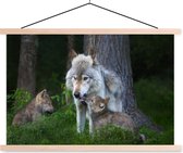 Posterhanger incl. Poster 90x60 cm - Schoolplaat - Wolf - Mos - Bos - Pup - Textielposter - Blanke latten