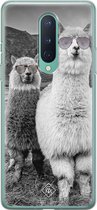 OnePlus 8 hoesje siliconen - Lama cool hipster | OnePlus 8 case | grijs | TPU backcover transparant
