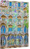 Het beroemde gevelhuis Casa Batlló van Gaudí in Barcelona - Foto op Plexiglas - 60 x 80 cm