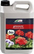 DCM Vloeibare Meststof Geraniums & Bloeiende Planten - Vloeibare meststof - 5 L
