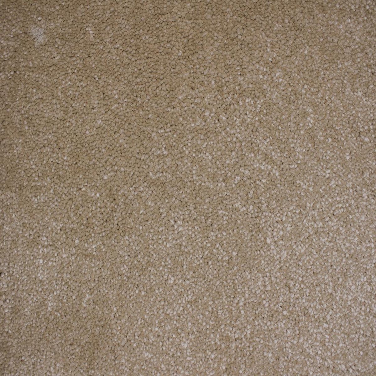 Vloerkleed Xilento Soft Sahara | 200 x 300 cm