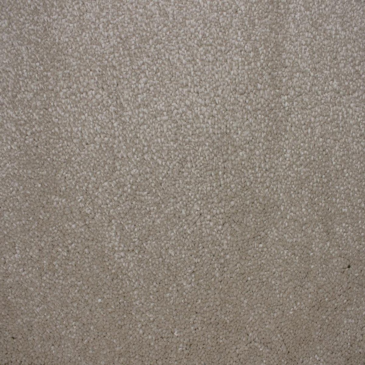 Vloerkleed Xilento Soft Melange | 170 x 230 cm