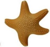 Fun in the sun knoop schelp beige, 2.3 cm x 2.4 cm, 3 stuks