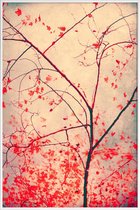 JUNIQE - Poster in kunststof lijst Red October -20x30 /Blauw & Bruin