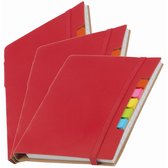 Pakket van 5x stuks schoolschriften/notitieboeken A5 gelinieerd - rood - Inclusief pen