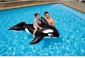 Intex Walvis