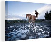 Canvas schilderij 150x100 cm - Wanddecoratie Bokkend paard in de waterplassen - Muurdecoratie woonkamer - Slaapkamer decoratie - Kamer accessoires - Schilderijen