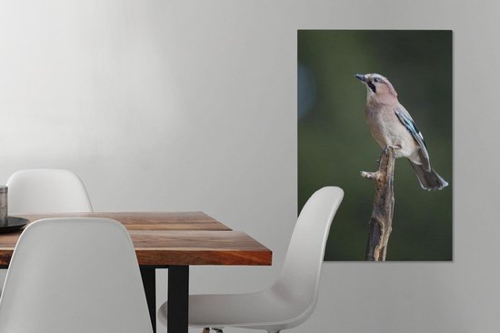 Jay sur une branche 60x90 cm - Tirage photo sur toile (Décoration murale salon / chambre)