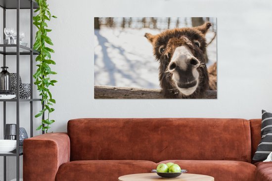 Toile d'âne curieux 2cm 120x80 cm - Tirage photo sur toile (Décoration murale salon / chambre) / Peintures sur toile animaux sauvages