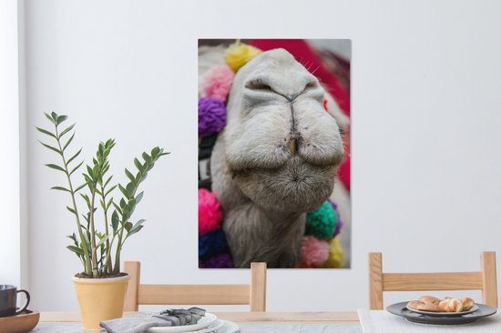 Gros plan d'une toile 2cm dromadaire 60x90 cm - impression photo sur toile peinture Décoration murale salon / chambre à coucher) / Animaux sauvages Peintures Toile