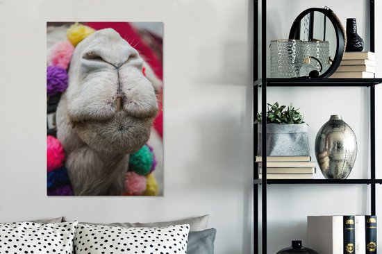 Gros plan d'une toile 2cm dromadaire 60x90 cm - impression photo sur toile peinture Décoration murale salon / chambre à coucher) / Animaux sauvages Peintures Toile