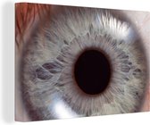 Eye up close view toile 2cm 30x20 cm - petit - Tirage photo sur toile (Décoration murale salon / chambre)
