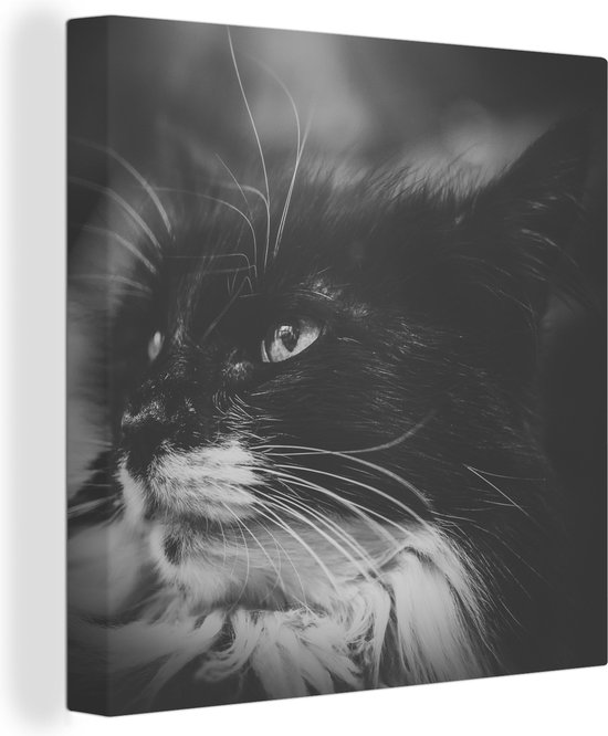 Canvas Schilderij Dierenprofiel opzij kijkende kat in zwart-wit - 20x20 cm - Wanddecoratie