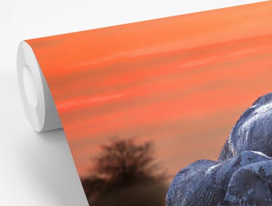Behang - Fotobehang Twee olifanten bij zonsondergang - Breedte 330 cm x hoogte 220 cm