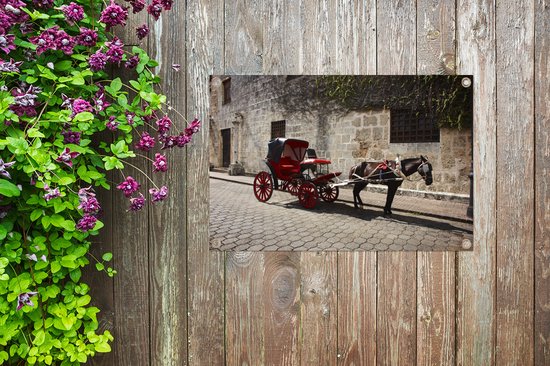 Cheval et calèche dans une rue de Saint-Domingue en République Dominicaine Affiche de jardin 90x60 cm - Toile de jardin / Toile d'extérieur / Peintures d'extérieur (décoration de jardin)