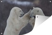 Tuinposter - Tuindoek - Tuinposters buiten - IJsberen - Spelen - 120x80 cm - Tuin