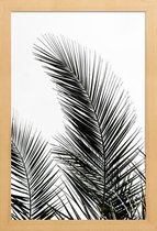 JUNIQE - Poster met houten lijst Palm Leaves 1 -13x18 /Kleurrijk