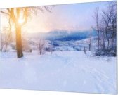 Wandpaneel Zonnig winterlandschap  | 210 x 140  CM | Zwart frame | Wandgeschroefd (19 mm)