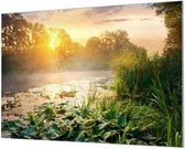 Wandpaneel Waterlelies bij zonsopkomst  | 100 x 70  CM | Zilver frame | Wandgeschroefd (19 mm)