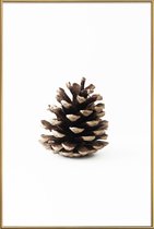 JUNIQE - Poster met kunststof lijst Pinecone N1 -40x60 /Bruin & Wit