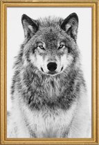 JUNIQE - Poster met houten lijst Winterwolf -13x18 /Grijs